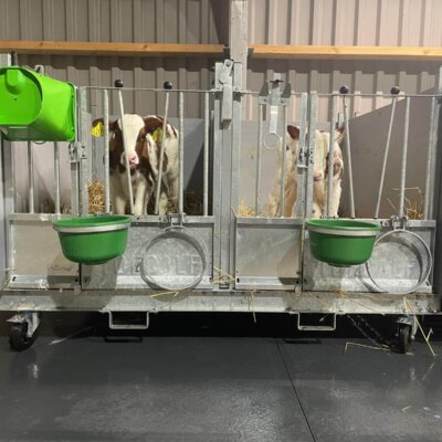 Topcalf Duo XL Kalverbox met kalveren Duo kalverbox