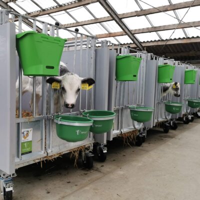 Mono kalverbox XL