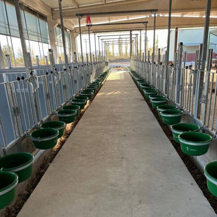 Project in Turkije: Installatie van 40 Topcalf Grondhokken