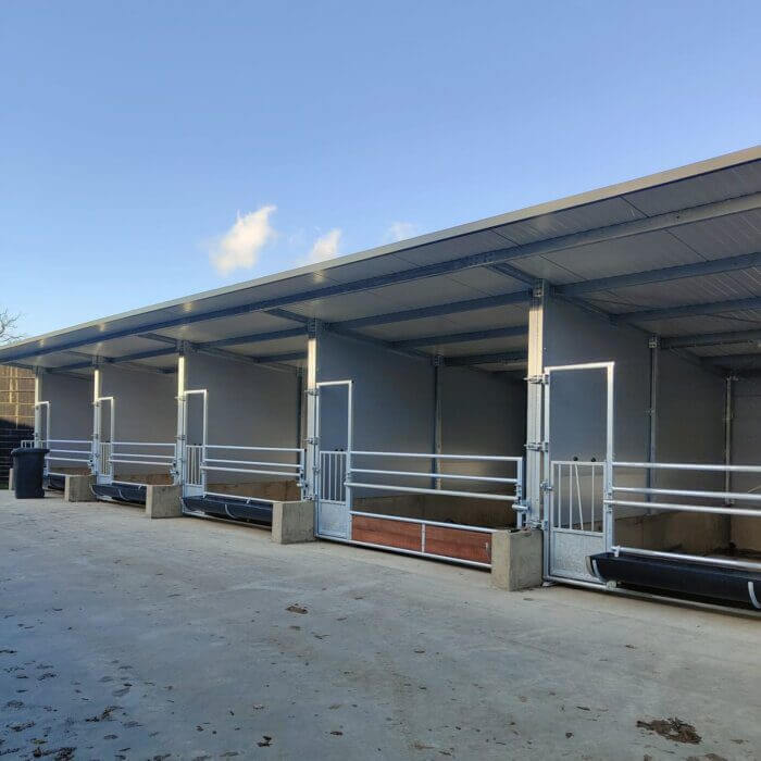 Nieuw Kalverstallenproject in Ostbevern, Duitsland