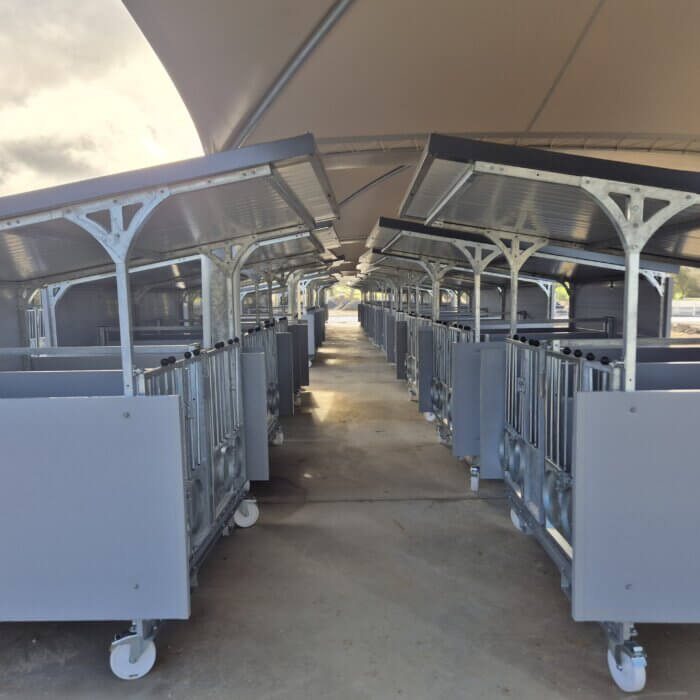 Topcalf in Portugal: Montage van 50 Duo-flex XL Kalverboxen!