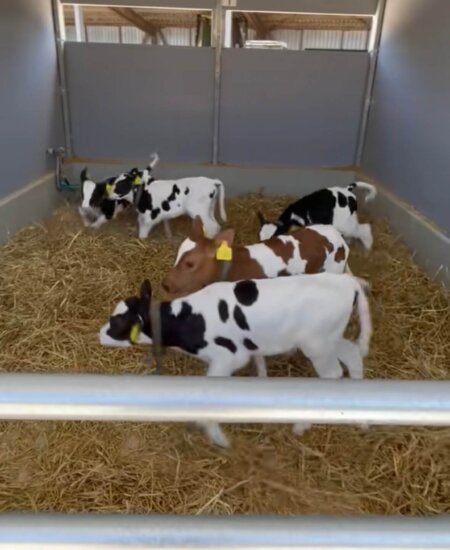 Screenshot Screenshot