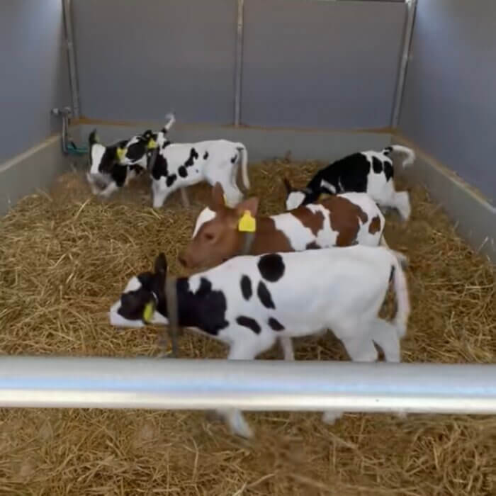 Sterk beenwerk begint met ruimte om te groeien