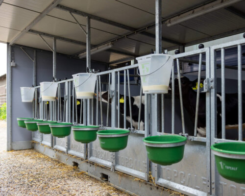 089A0109-bewerkt 089A0109-bewerkt