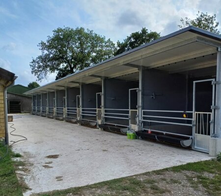 584882351_1461219192671462_4230245820524013325_n 584882351_1461219192671462_4230245820524013325_n