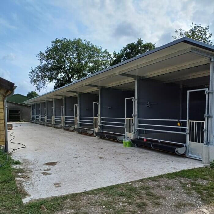 Sterk begin voor de kalveren in Schleswig-Holstein