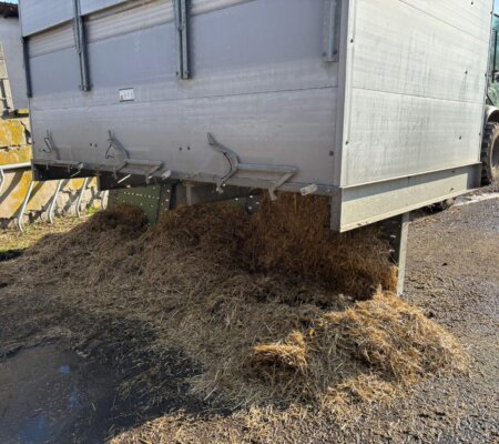 593936263_1473264134800301_3768994235254549511_n