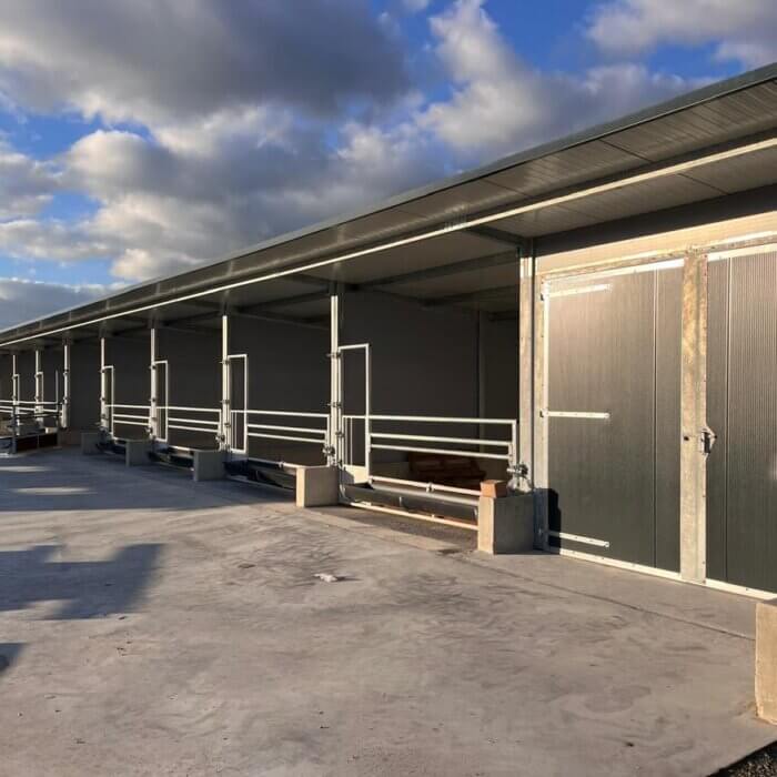 Optimalisatie van kalverhuisvesting bij melkveebedrijf Fraune