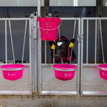 20250725_089A1063Topcalf_LR 20250725_089A1063Topcalf_LR