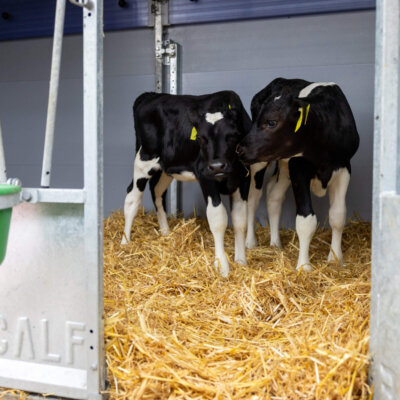 089A0602-bewerkt Topcalf