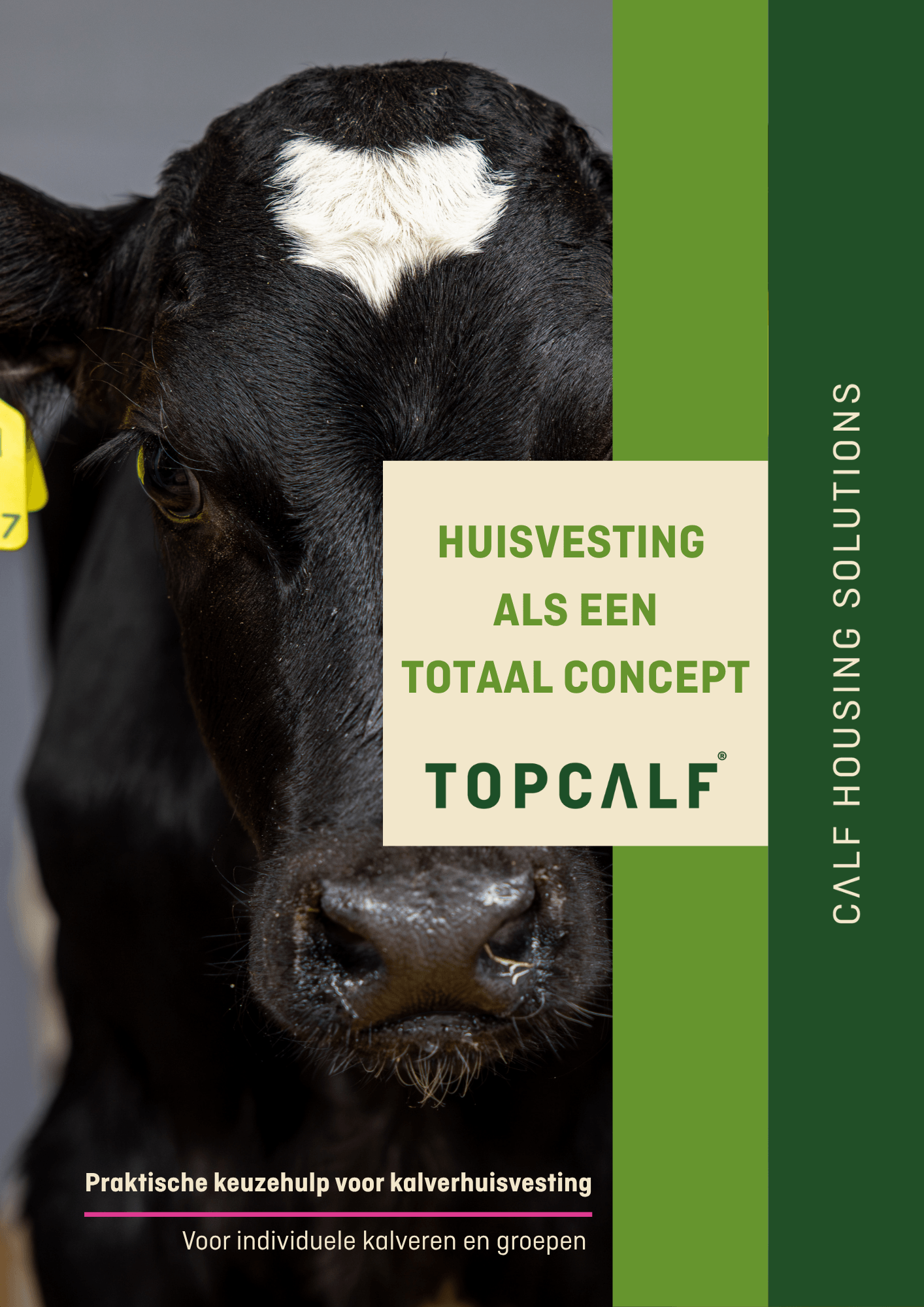 Brochure Topcalf