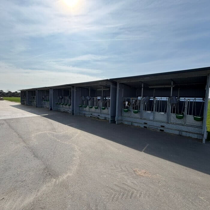 Trio XXL kalverhutten geleverd in België