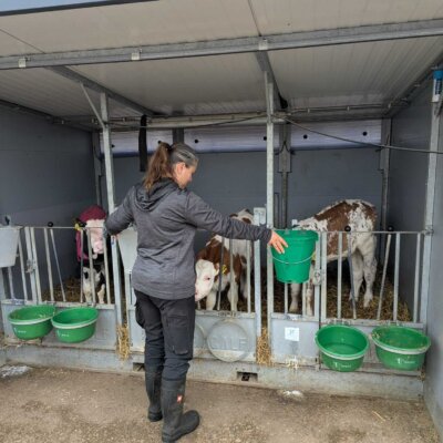 WhatsApp Image 2026-04-15 at 18.08.22