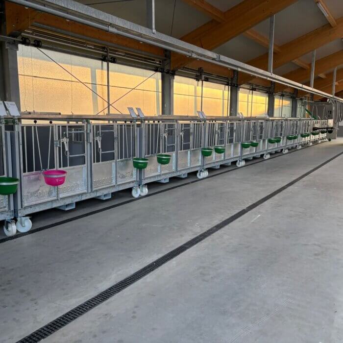 Innovatief stalproject met Topcalf Duo kalverboxen