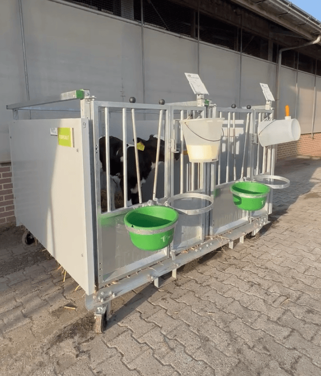 Sandra Meijer over haar ervaring met de nieuwe Topcalf kalverboxen