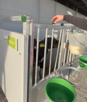 Schermafbeelding 2026-05-01 081953