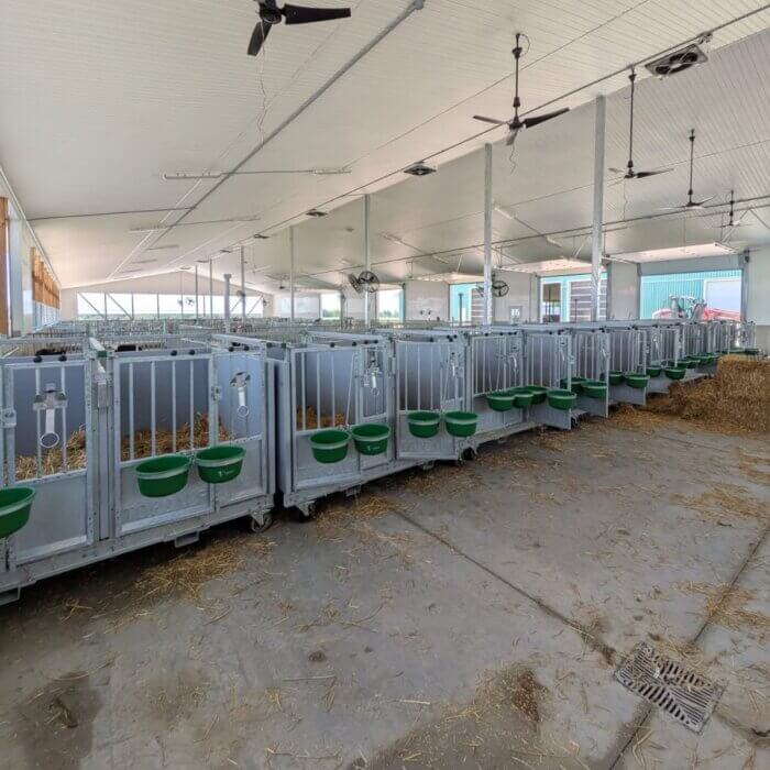 Duo XL kalverboxen voor Canadese melkveehouderij