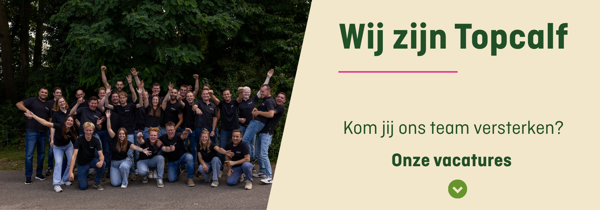 Jouw alineatekst (2)